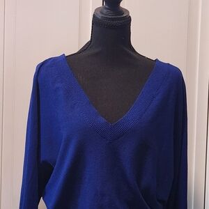 Express Women's V-Neck Sweater in Royal Blue